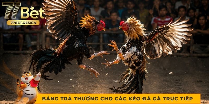 Bảng trả thưởng cho các kèo đá gà trực tiếp Bảng trả thưởng cho các kèo đá gà trực tiếp