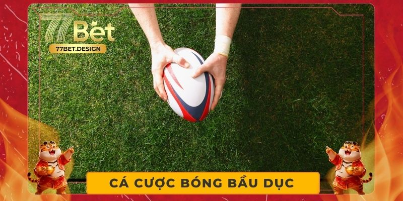 Cá Cược Bóng Bầu Dục - Theo Dõi Super Bowl Và Chốt Kèo