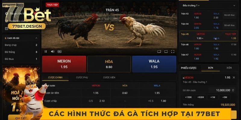 Các hình thức đá gà được tích hợp tại 77bet