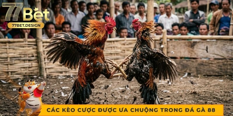 Các kèo cược được ưa chuộng trong đá gà 88