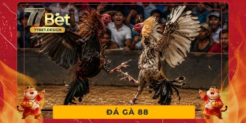 Đá Gà 88 - Săn Kèo Gà Chiến Với Tỷ Lệ Thưởng Cực Cao