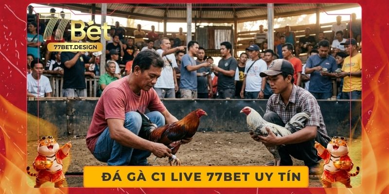 Đá Gà C1 Live 77bet Uy Tín - Xem Trực Tiếp Siêu Đỉnh